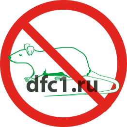 Уничтожение крыс в Краснодаре